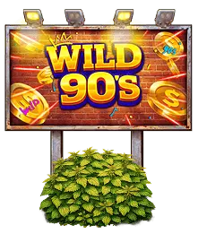 Wild 90’s